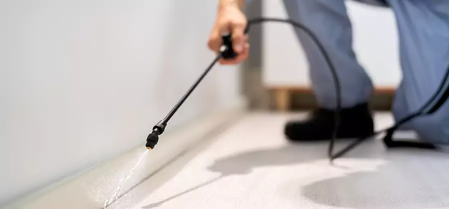Direct Termite Injection Treatment in Redan
