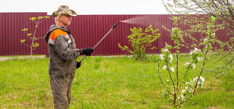 Flea and Tick Spray for Yard in Redan
