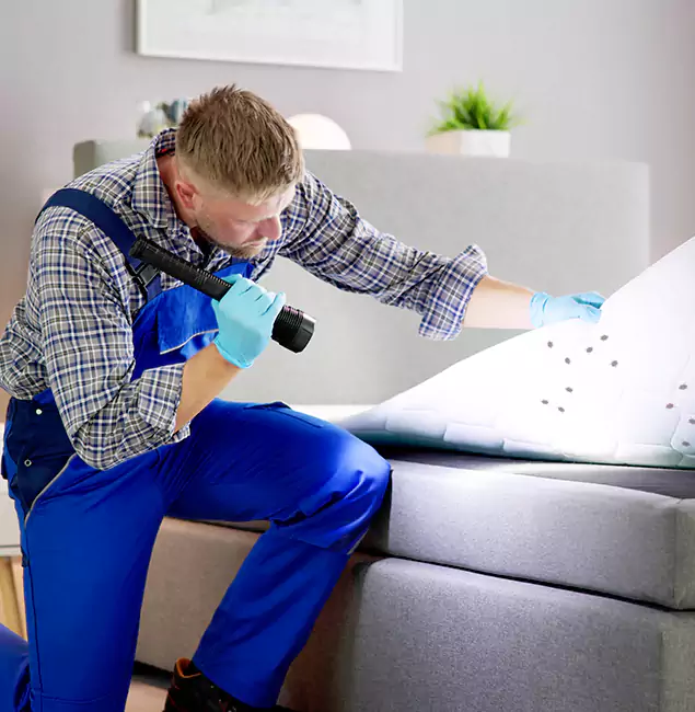 Why Choose Red Ant Pest Control Pros for Bed Bug Exterminator Cost in Redan, GA?