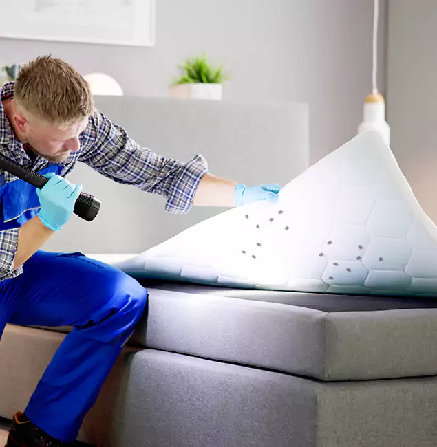 Why Choose Red Ant Pest Control Pros in Redan, GA?