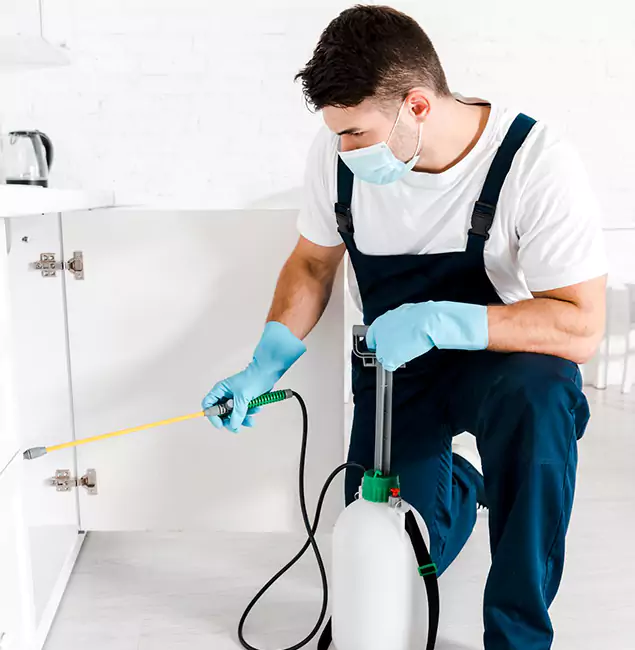 Why Choose Red Ant Pest Control Pros for Emergency Pest Control in Redan?