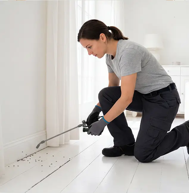 Why Redan, GA Property Owners Trust Red Ant Pest Control Pros for Fire Ant Control?