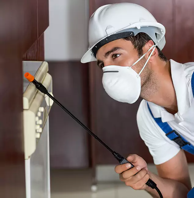 Why Redan Homeowners Rely on Red Ant Pest Control Pros for Tick Treatment?