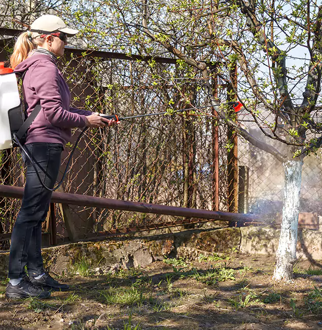 Why Redan Homeowners Choose Red Ant Pest Control Pros for Mosquito Abatement?