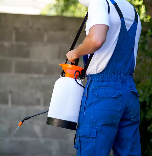 Why Redan Homeowners Rely on Red Ant Pest Control Pros for Mosquito Control?