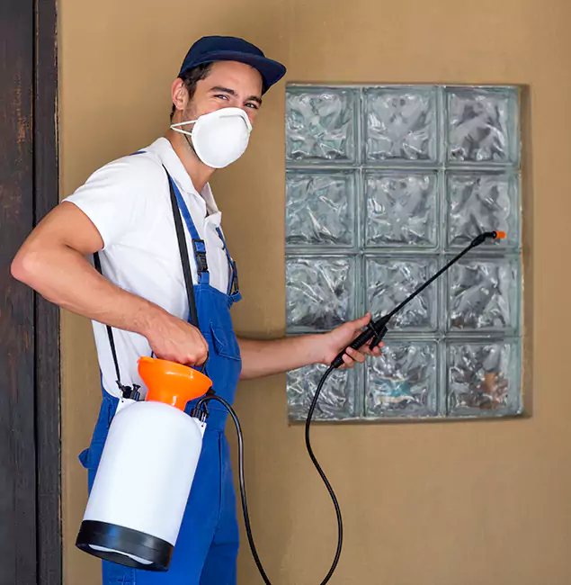 Why Red Ant Pest Control Pros Provides the Best Mosquito Control for Yard Properties in Redan, GA?