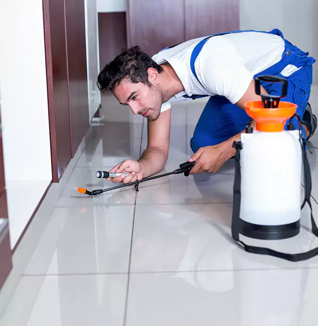 Why Red Ant Pest Control Pros Is the Proven Choice in Redan, GA?