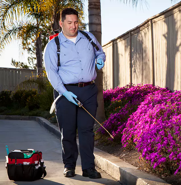 Why Choose Red Ant Pest Control Pros in Redan, GA?