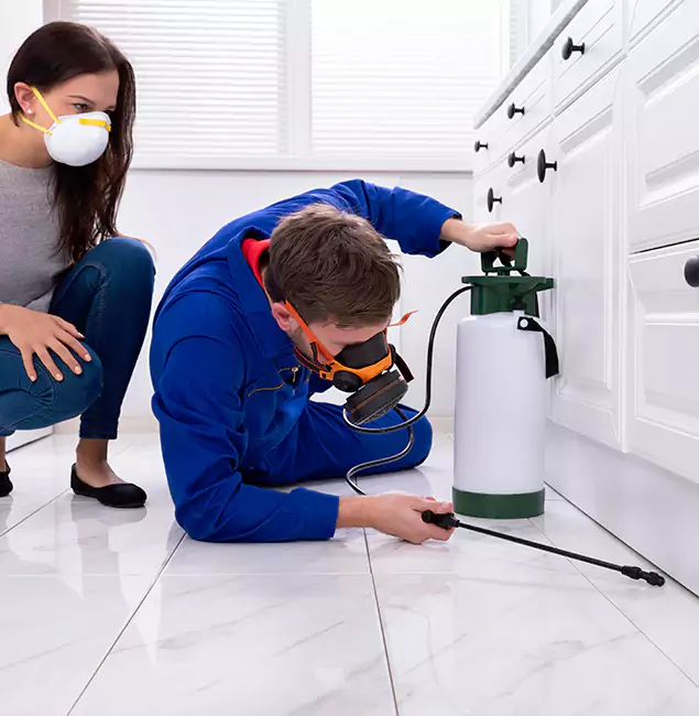 Why Choose Red Ant Pest Control Pros in Redan, GA?