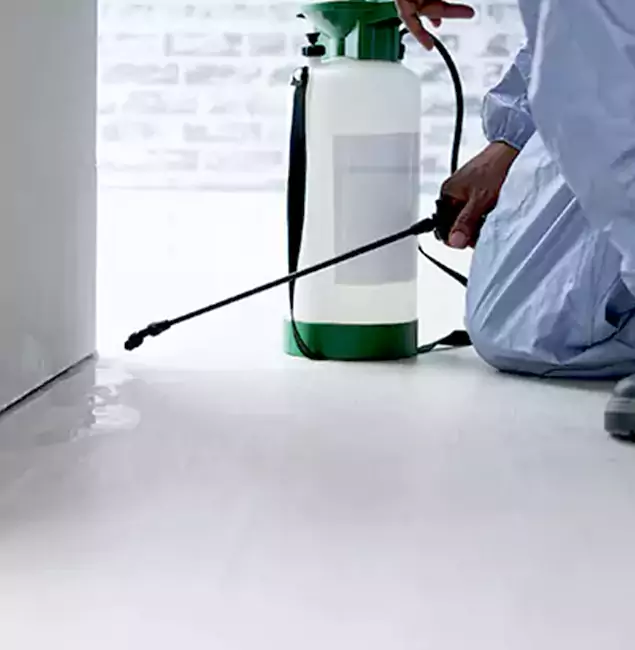 Why Choose Red Ant Pest Control Pros for Rat Exterminator in Redan, GA?