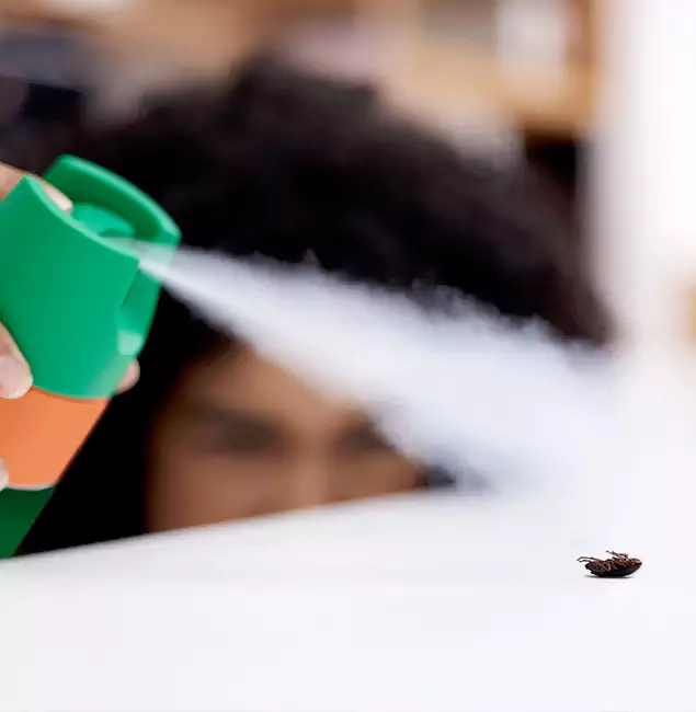 Why Redan, GA Homeowners Choose Red Ant Pest Control Pros for Roach Pest Control?