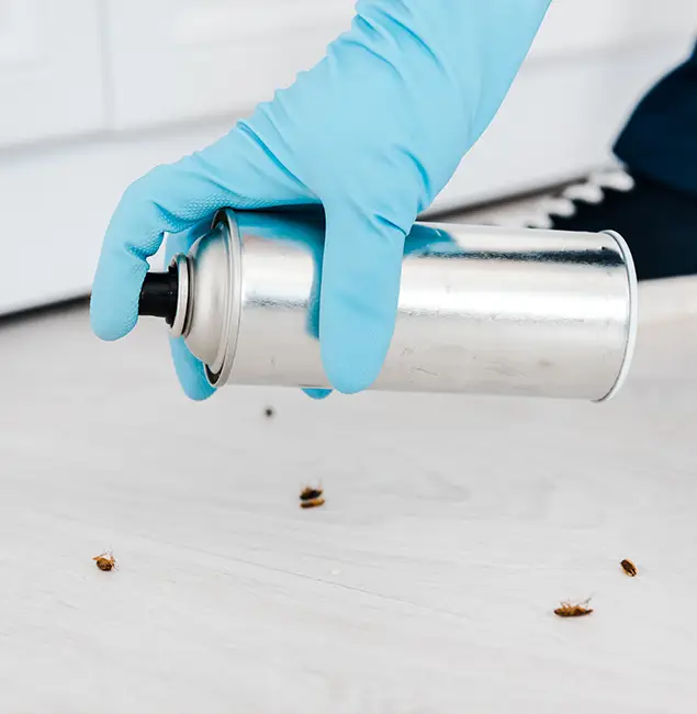 Why Choose Red Ant Pest Control Pros for Safe Bed Bug Treatment in Redan, GA?