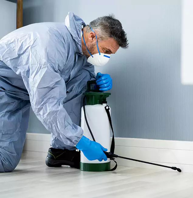 Why Choose Red Ant Pest Control Pros for Subterranean Termites Treatment in Redan, GA?