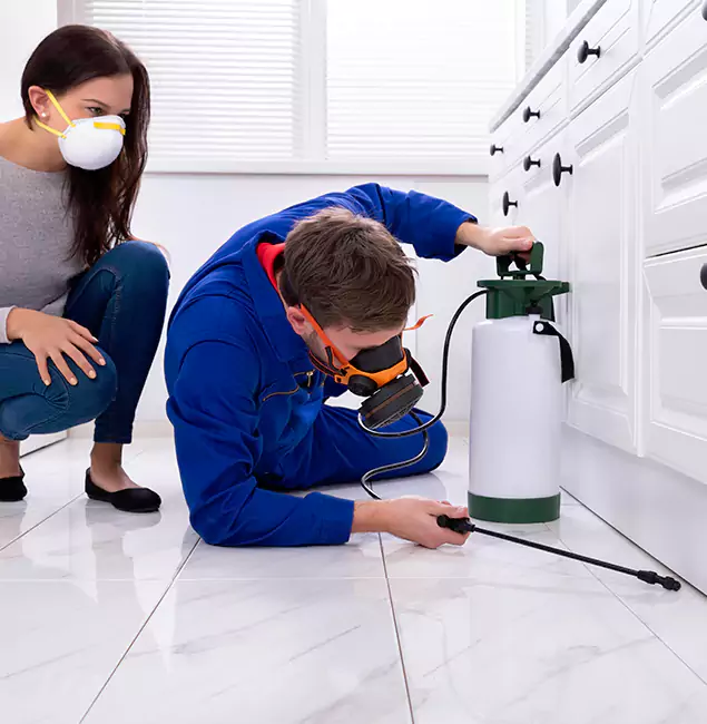 Why Choose Red Ant Pest Control Pros for Termite Inspection Cost in Redan, GA?
