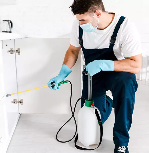 Why Choose Red Ant Pest Control Pros for Termite Spot Treatment in Redan, GA?