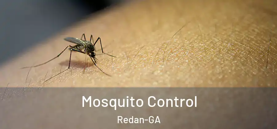 Mosquito Control Redan-GA