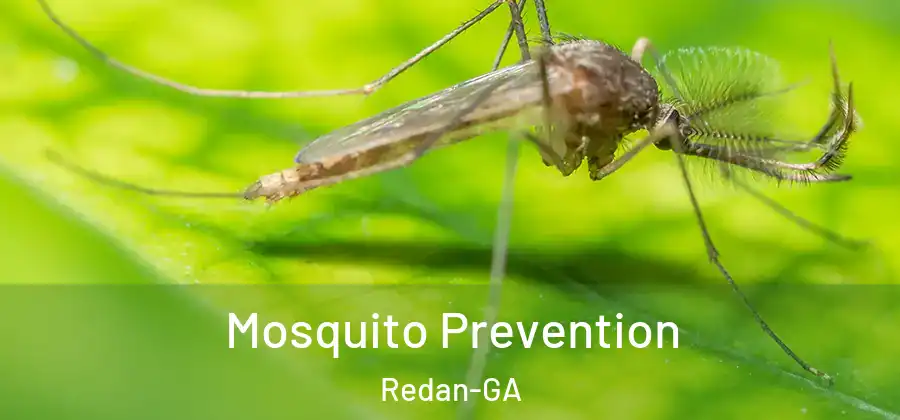 Mosquito Prevention Redan-GA