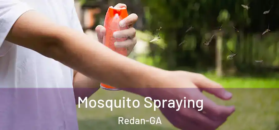 Mosquito Spraying Redan-GA