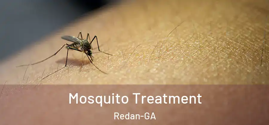Mosquito Treatment Redan-GA