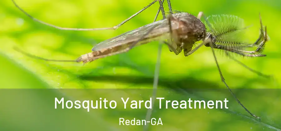 Mosquito Yard Treatment Redan-GA