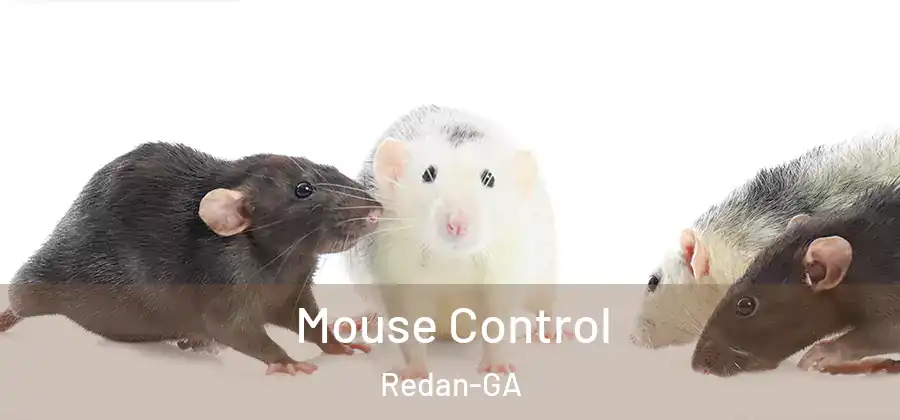 Mouse Control Redan-GA