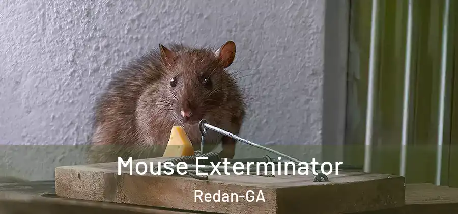 Mouse Exterminator Redan-GA