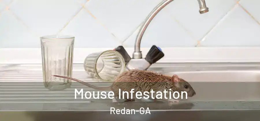 Mouse Infestation Redan-GA