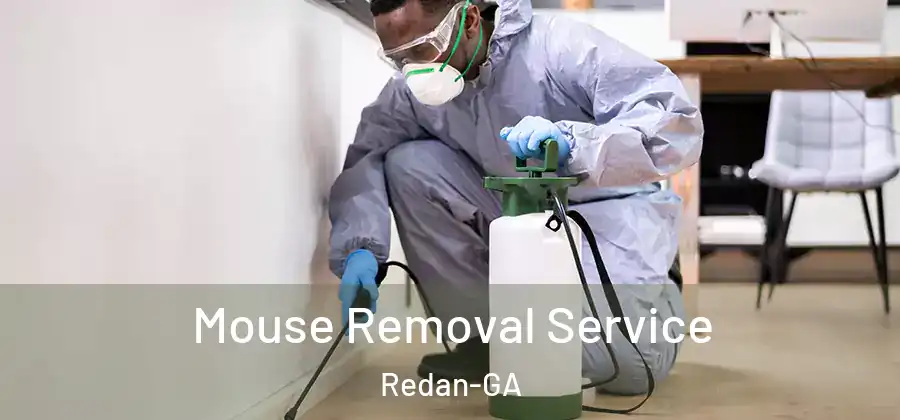 Mouse Removal Service Redan-GA