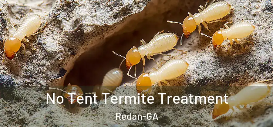 No Tent Termite Treatment Redan-GA