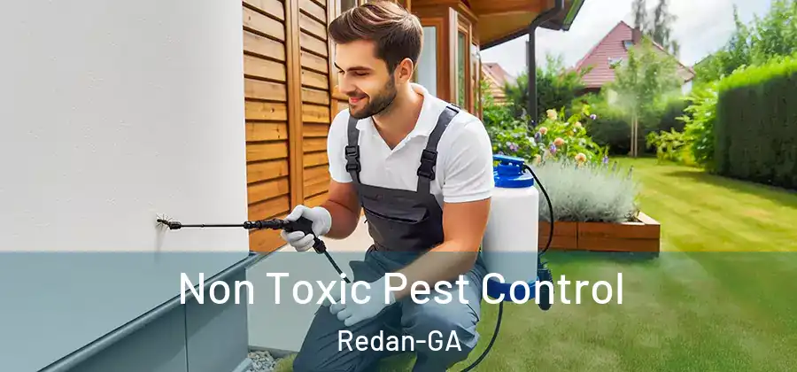 Non Toxic Pest Control Redan-GA