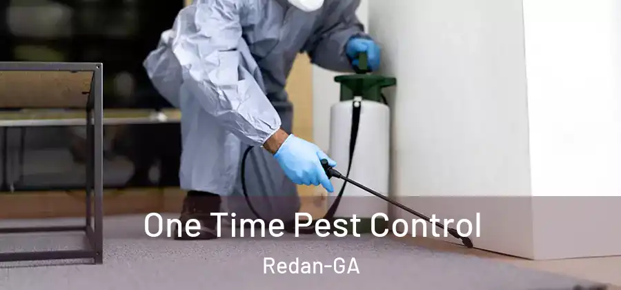 One Time Pest Control Redan-GA