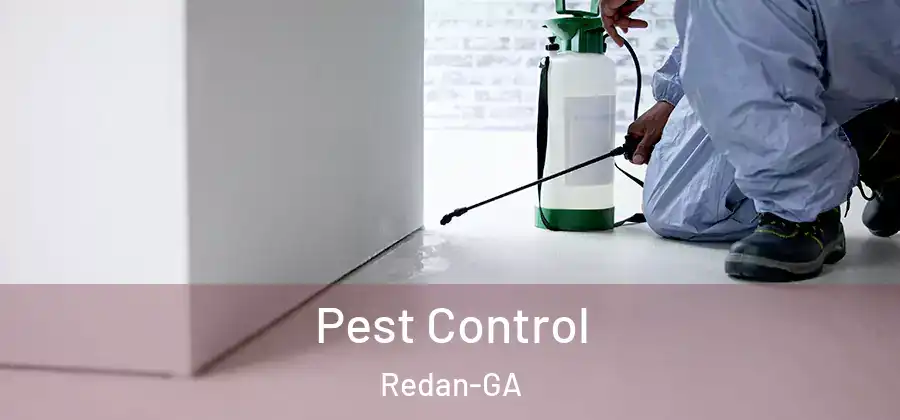 Pest Control Redan-GA