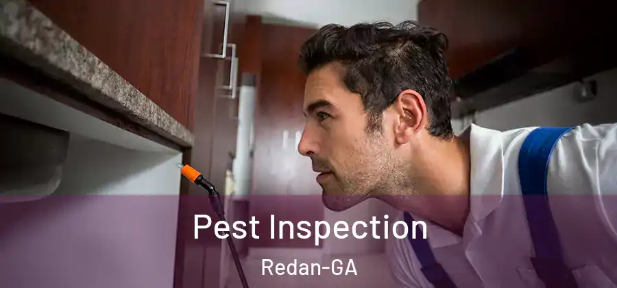 Pest Inspection Redan-GA