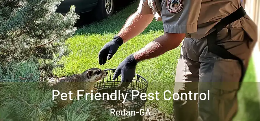 Pet Friendly Pest Control Redan-GA