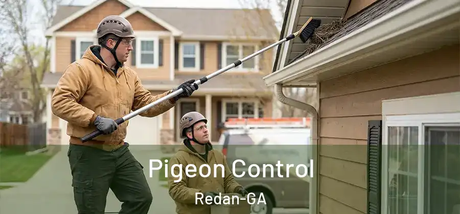 Pigeon Control Redan-GA