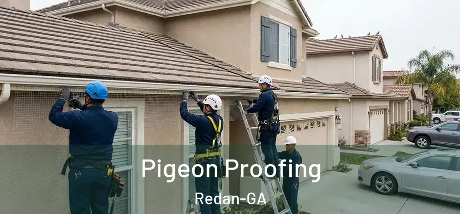 Pigeon Proofing Redan-GA