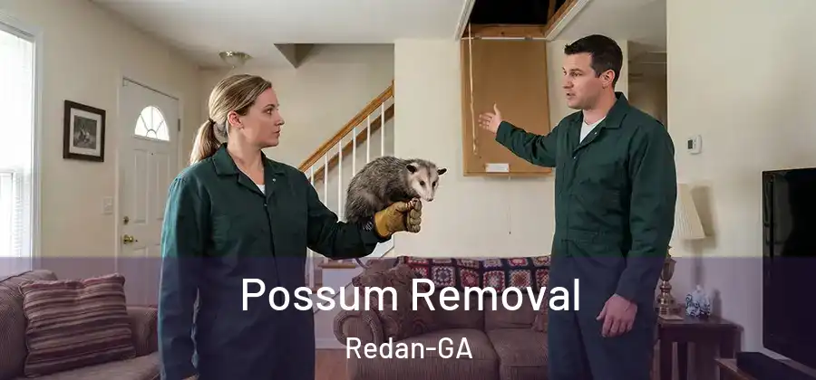 Possum Removal Redan-GA
