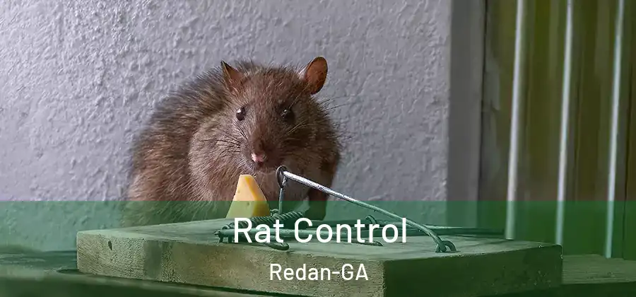 Rat Control Redan-GA