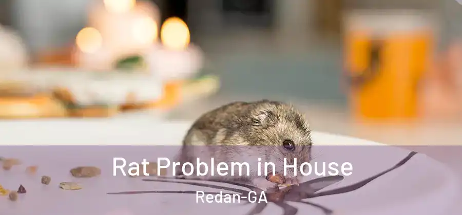 Rat Problem in House Redan-GA
