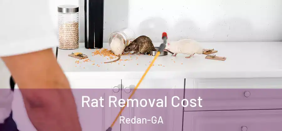 Rat Removal Cost Redan-GA