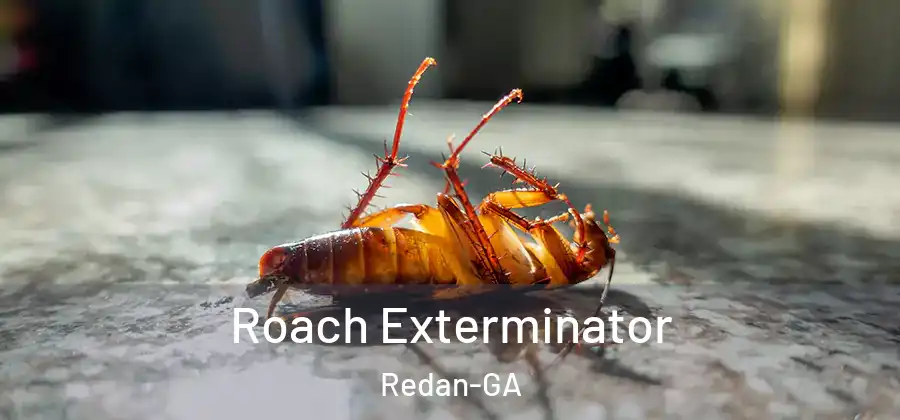 Roach Exterminator Redan-GA