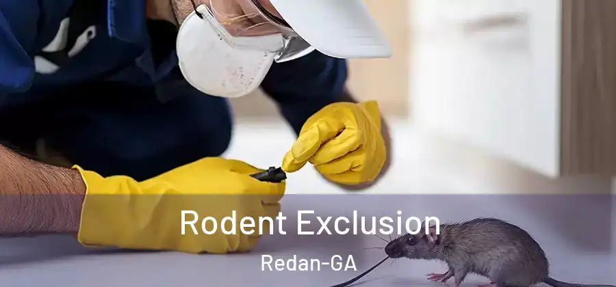 Rodent Exclusion Redan-GA