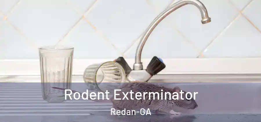 Rodent Exterminator Redan-GA