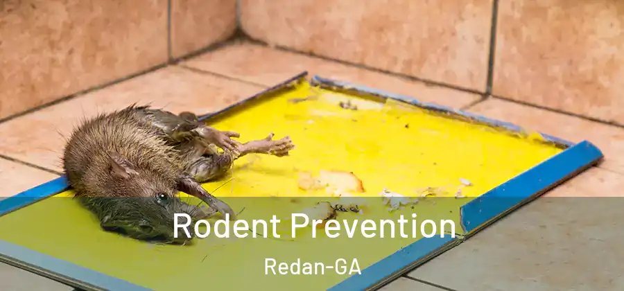 Rodent Prevention Redan-GA