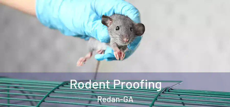 Rodent Proofing Redan-GA