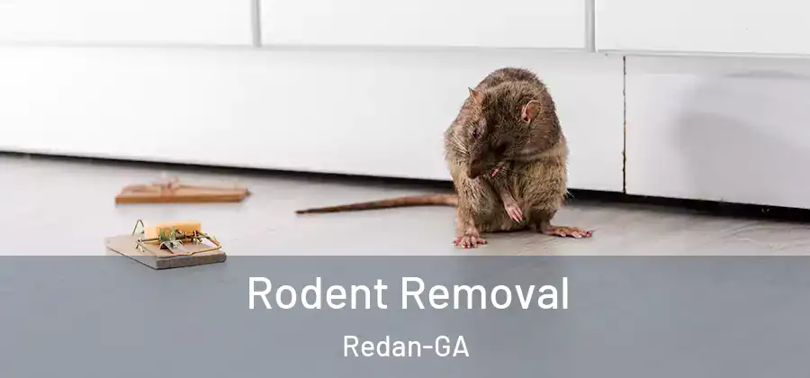 Rodent Removal Redan-GA