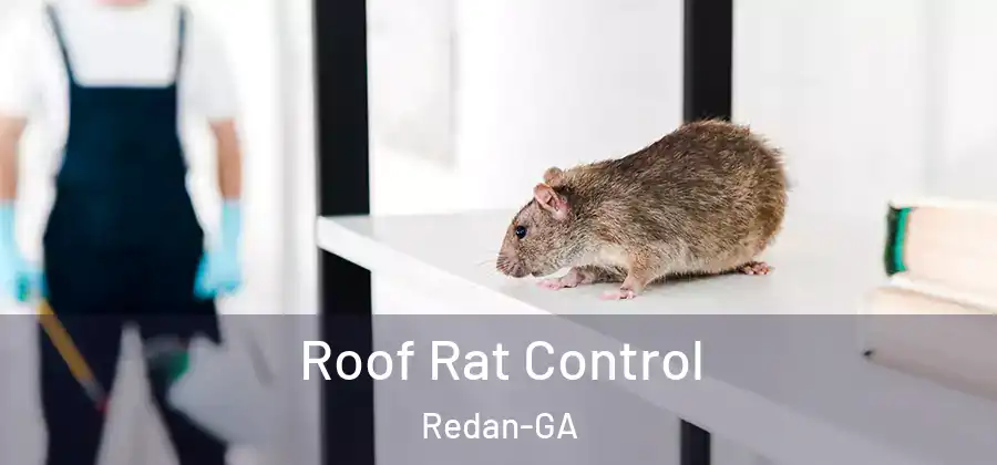Roof Rat Control Redan-GA