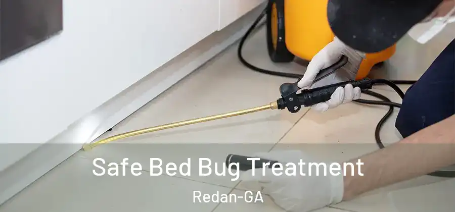  Safe Bed Bug Treatment Redan-GA