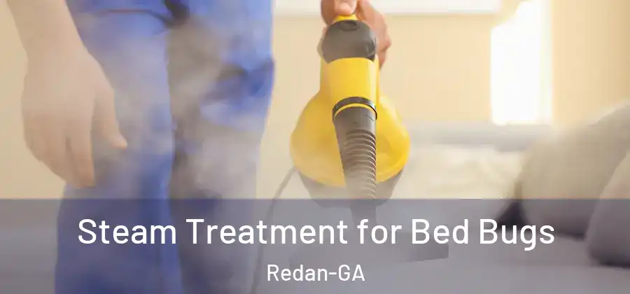 Steam Treatment for Bed Bugs Redan-GA