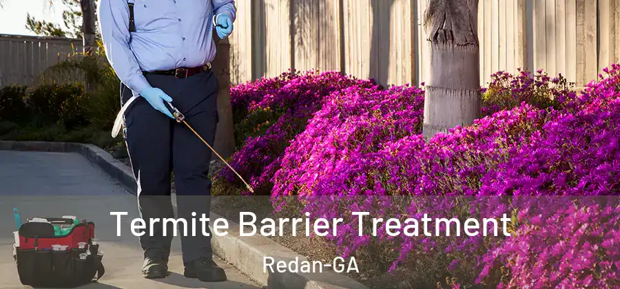 Termite Barrier Treatment Redan-GA